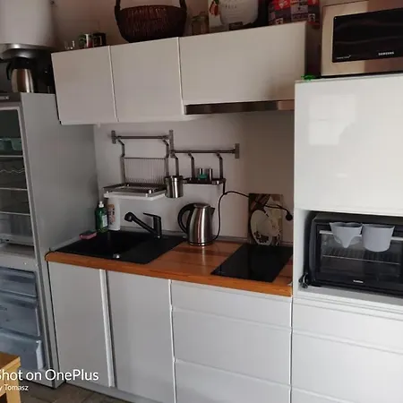 Na Kaszubach - Brzozowy Raj Kaszubska Ostoja Holiday home Barkocin