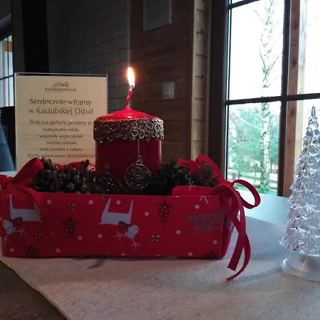 Na Kaszubach - Brzozowy Raj Kaszubska Ostoja Holiday home Barkocin