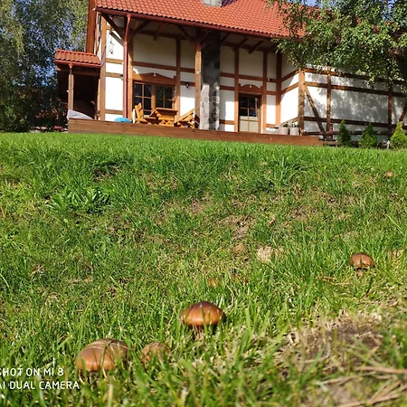 Na Kaszubach - Brzozowy Raj Kaszubska Ostoja Holiday home Barkocin