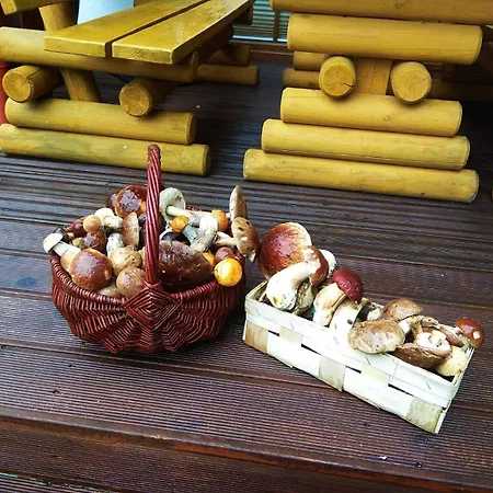 Casa vacanze Na Kaszubach - Brzozowy Raj Kaszubska Ostoja