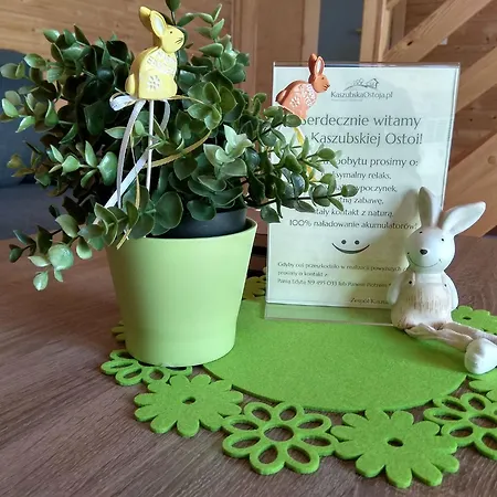Na Kaszubach - Brzozowy Raj Kaszubska Ostoja Holiday home Barkocin