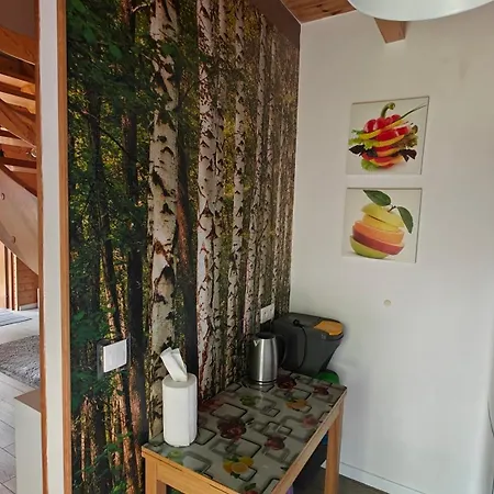 Hébergement de vacances Na Kaszubach - Brzozowy Raj Kaszubska Ostoja