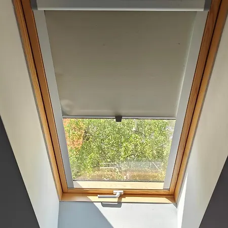 Na Kaszubach - Brzozowy Raj Kaszubska Ostoja Casa vacanze *