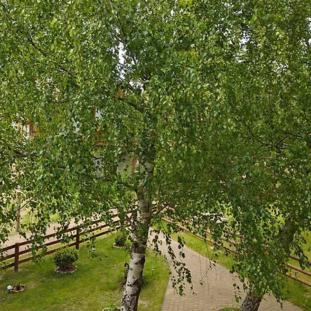 Na Kaszubach - Brzozowy Raj Kaszubska Ostoja Hébergement de vacances