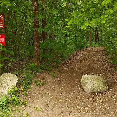 Na Kaszubach - Brzozowy Raj Kaszubska Ostoja Barkocin