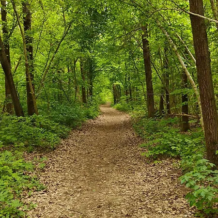 Na Kaszubach - Brzozowy Raj Kaszubska Ostoja * Barkocin