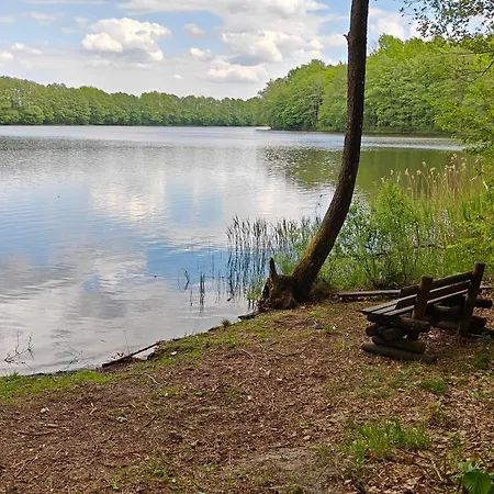 Na Kaszubach - Brzozowy Raj Kaszubska Ostoja * Barkocin