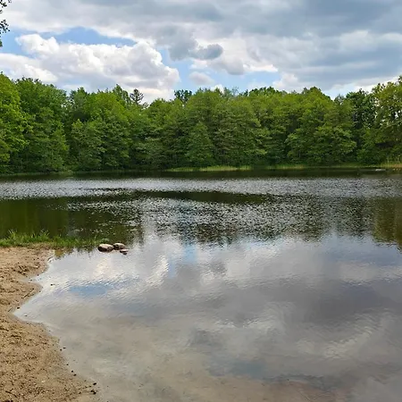Na Kaszubach - Brzozowy Raj Kaszubska Ostoja