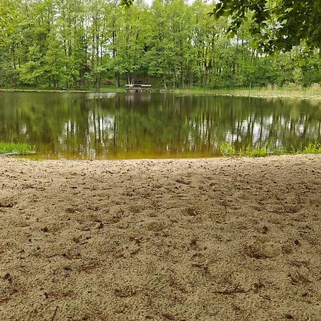 Na Kaszubach - Brzozowy Raj Kaszubska Ostoja Hébergement de vacances