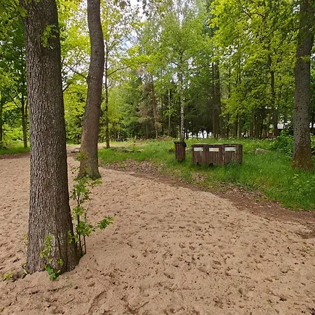 Na Kaszubach - Brzozowy Raj Kaszubska Ostoja * Barkocin