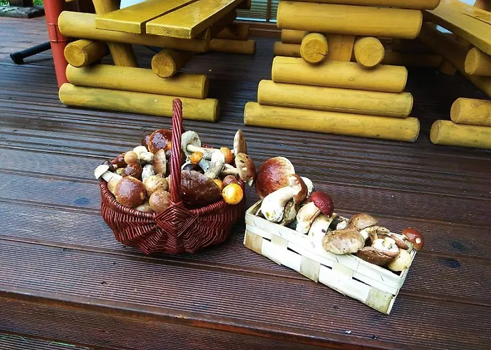 Semesterbostad Na Kaszubach - Brzozowy Raj Kaszubska Ostoja