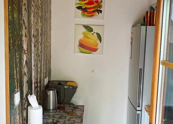 Na Kaszubach - Brzozowy Raj Kaszubska Ostoja Semesterbostad Barkocin