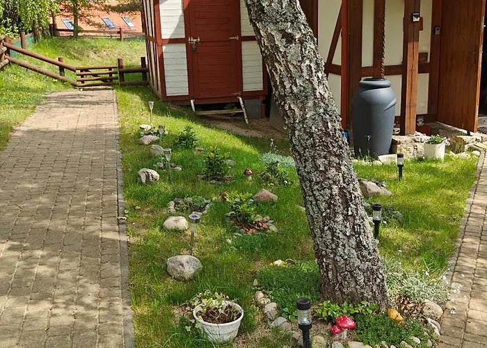 Na Kaszubach - Brzozowy Raj Kaszubska Ostoja