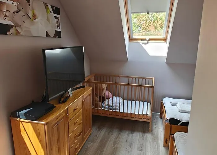 Na Kaszubach - Brzozowy Raj Kaszubska Ostoja *