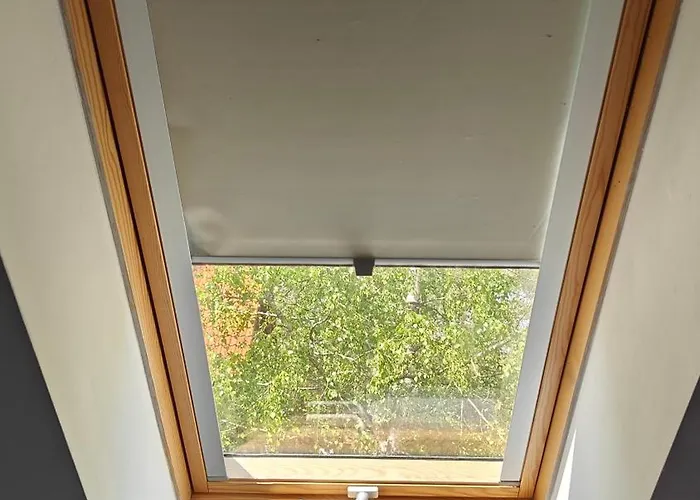 Na Kaszubach - Brzozowy Raj Kaszubska Ostoja Semesterbostad *