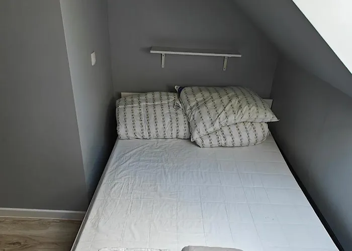 Na Kaszubach - Brzozowy Raj Kaszubska Ostoja Barkocin