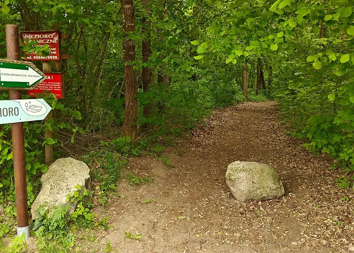 Na Kaszubach - Brzozowy Raj Kaszubska Ostoja Barkocin