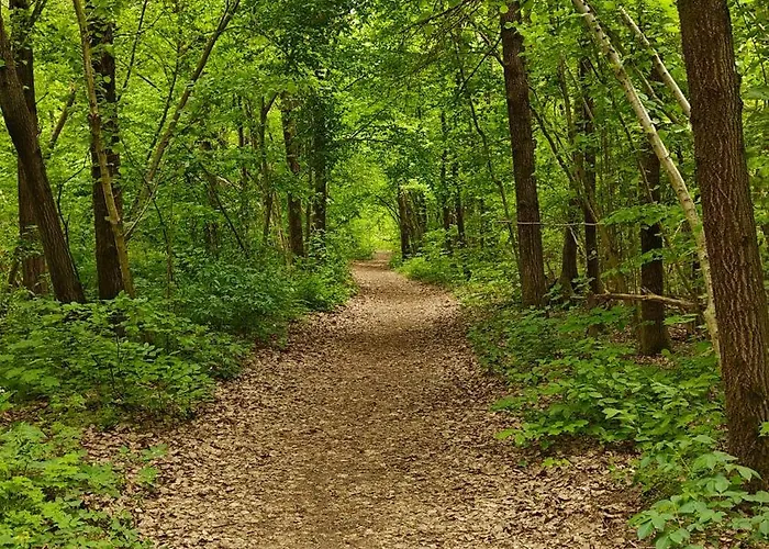 Na Kaszubach - Brzozowy Raj Kaszubska Ostoja * Barkocin