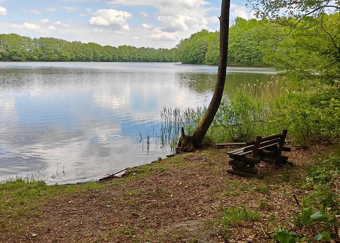 Na Kaszubach - Brzozowy Raj Kaszubska Ostoja * Barkocin