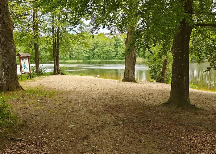 Na Kaszubach - Brzozowy Raj Kaszubska Ostoja Semesterbostad *