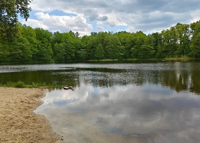 Na Kaszubach - Brzozowy Raj Kaszubska Ostoja