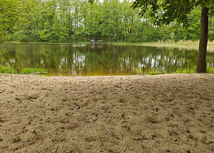 Na Kaszubach - Brzozowy Raj Kaszubska Ostoja Semesterbostad
