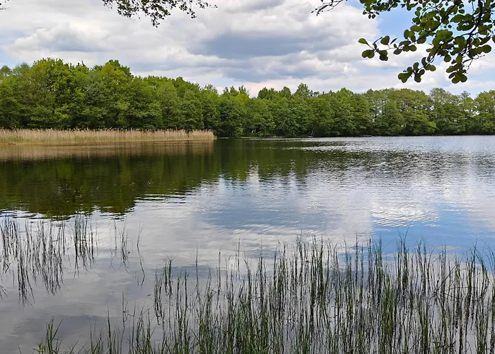 Na Kaszubach - Brzozowy Raj Kaszubska Ostoja Semesterbostad