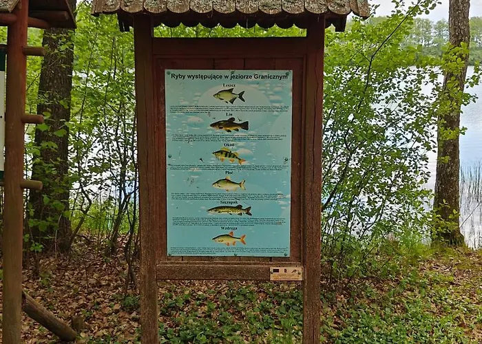 Semesterbostad Na Kaszubach - Brzozowy Raj Kaszubska Ostoja *