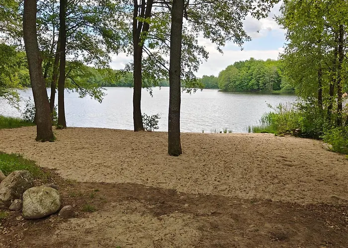 Na Kaszubach - Brzozowy Raj Kaszubska Ostoja *