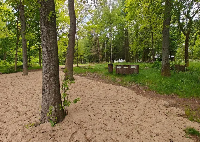 Na Kaszubach - Brzozowy Raj Kaszubska Ostoja * Barkocin